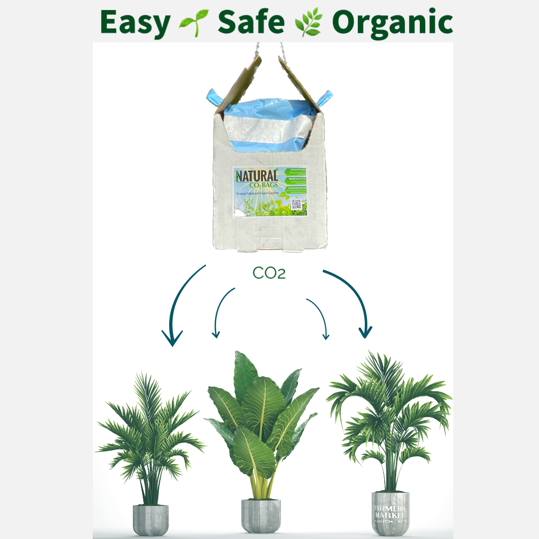 Natural CO2 Bags