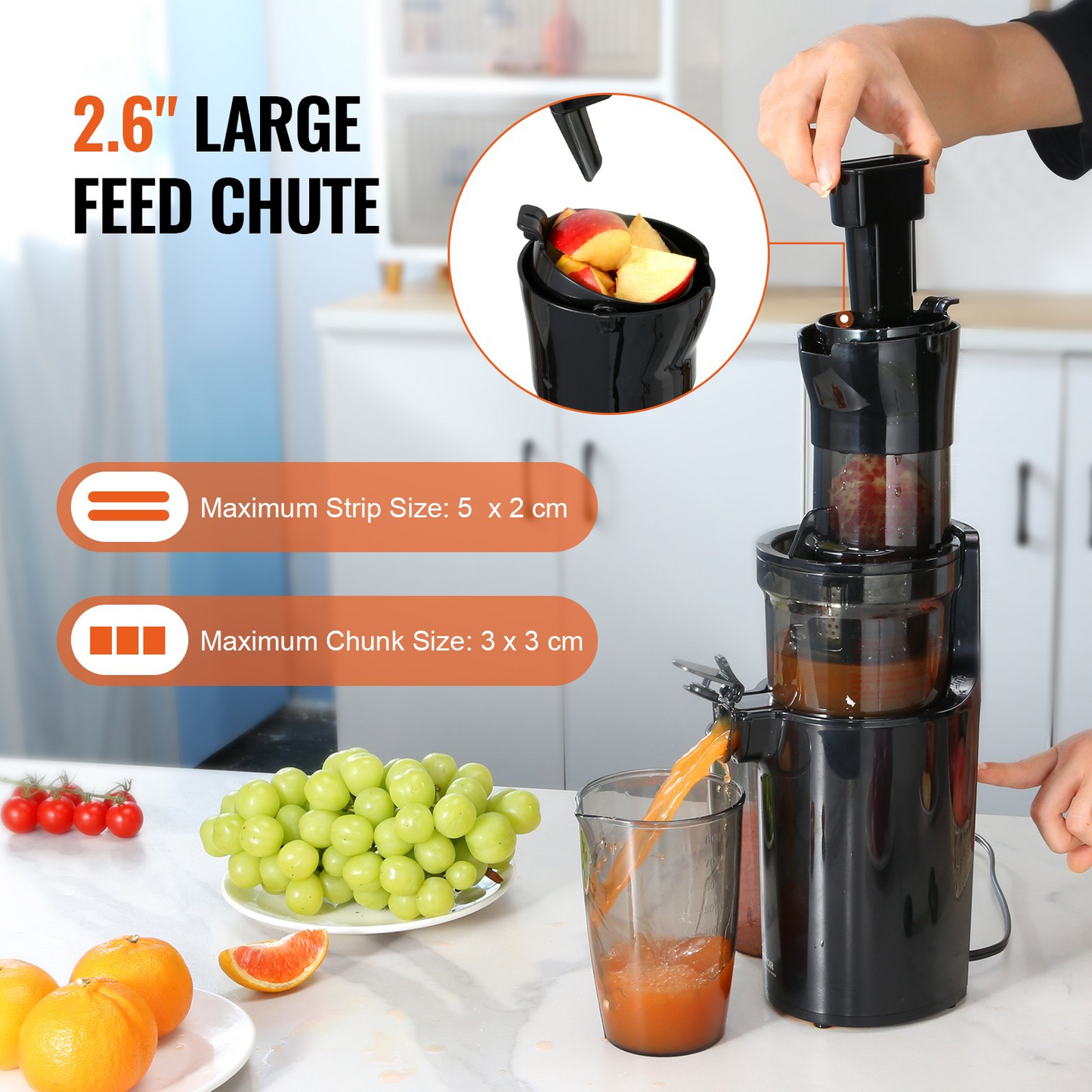 VEVOR Masticating Juicer, Cold Press Juicer Machine, 2.6" Large Feed Chute Slow Juicer, Juice Extractor Maker with High Juice Yield, Easy to Clean with Brush, for High Nutrient Fruits Vegetables