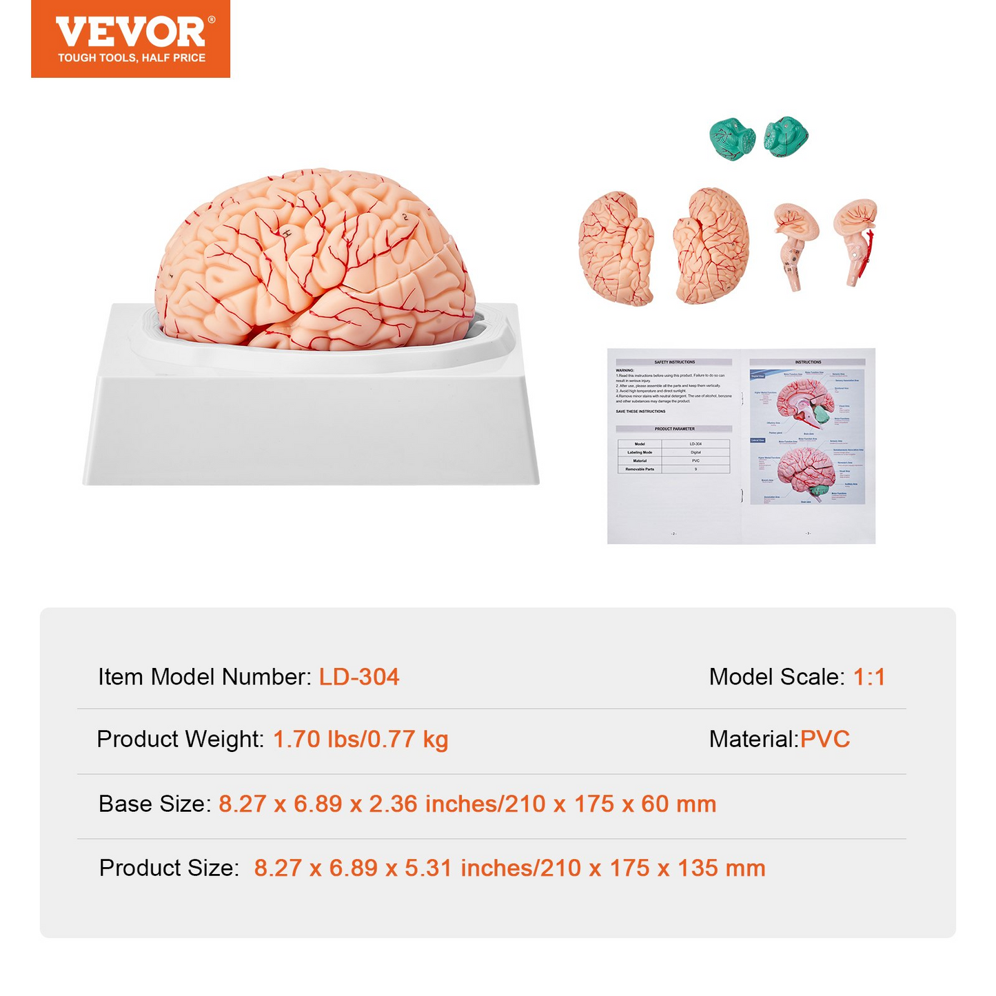 VEVOR Human Brain Model Anatomy, 1:1 Life-Size 9-Part Human Brain Anatomical Model with Labels & Display Base, Detachable Brain Model for Science Research Teaching Learning Classroom Study Display