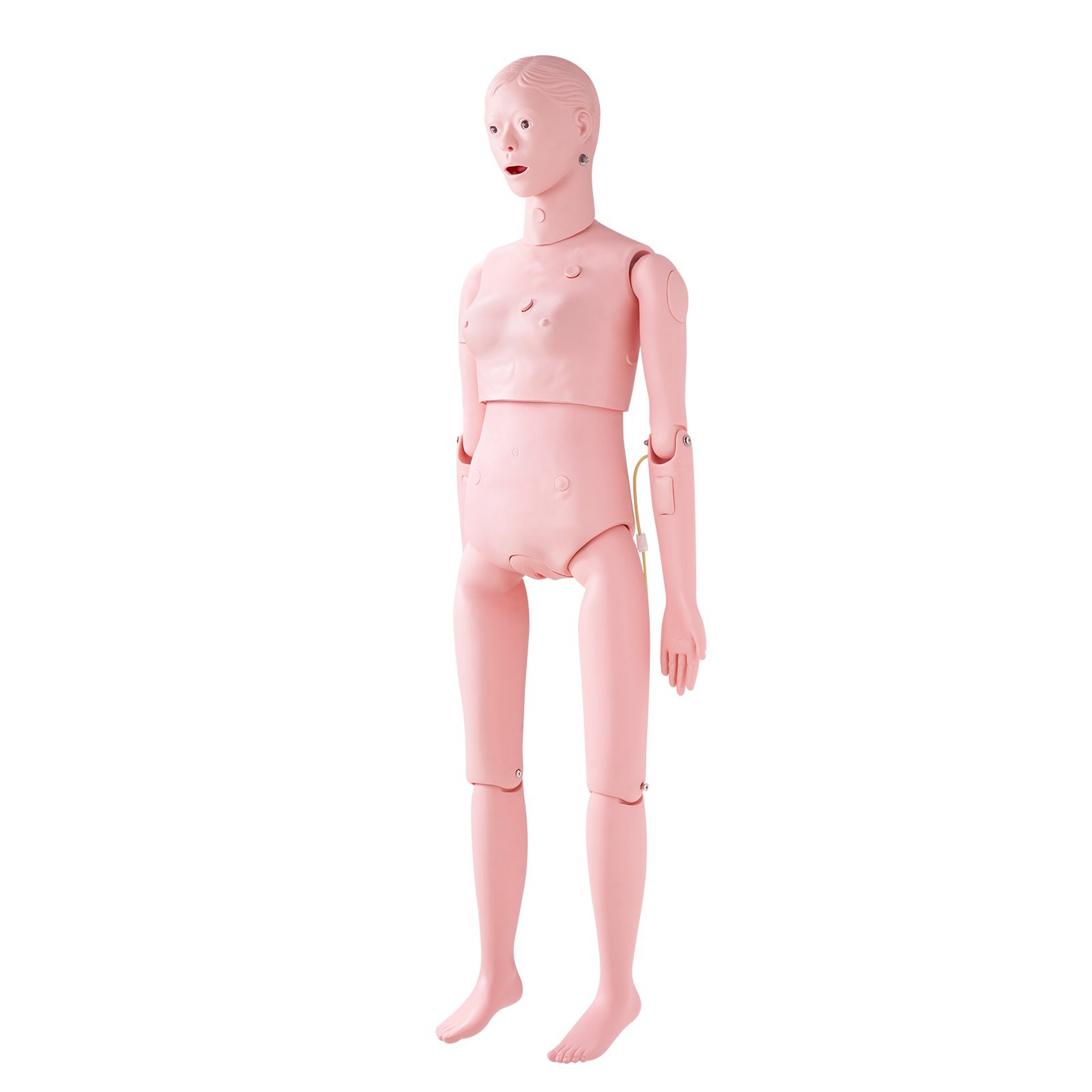 VEVOR Nursing Training Manikin, Female Life Size Demonstration Human Manikin for Nursing Training, Multifunctional Education Teaching Model Supplies, PVC Anatomical Mannequin Body Care Simulator Model