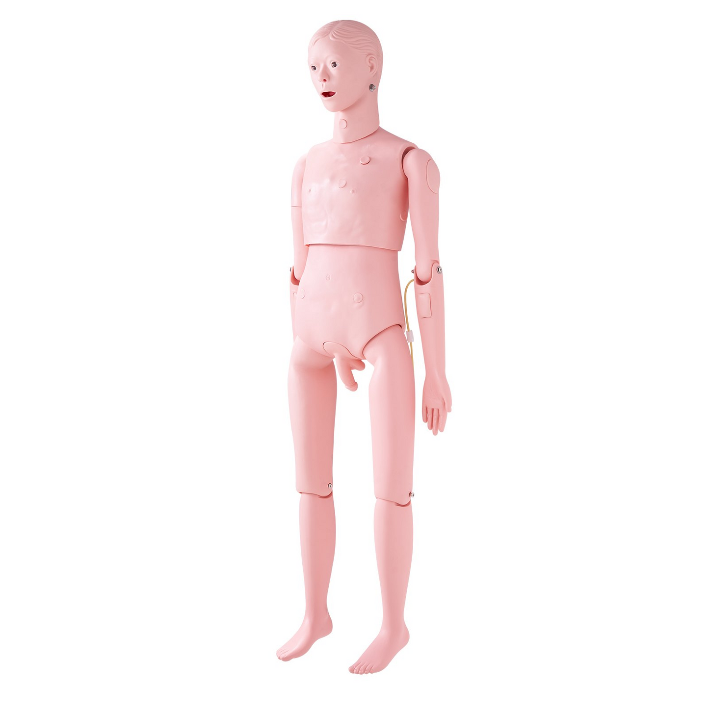 VEVOR Nursing Training Manikin, Male Life Size Demonstration Human Manikin for Nursing Training, Multifunctional Education Teaching Model Supplies, PVC Anatomical Mannequin Body Care Simulator Model