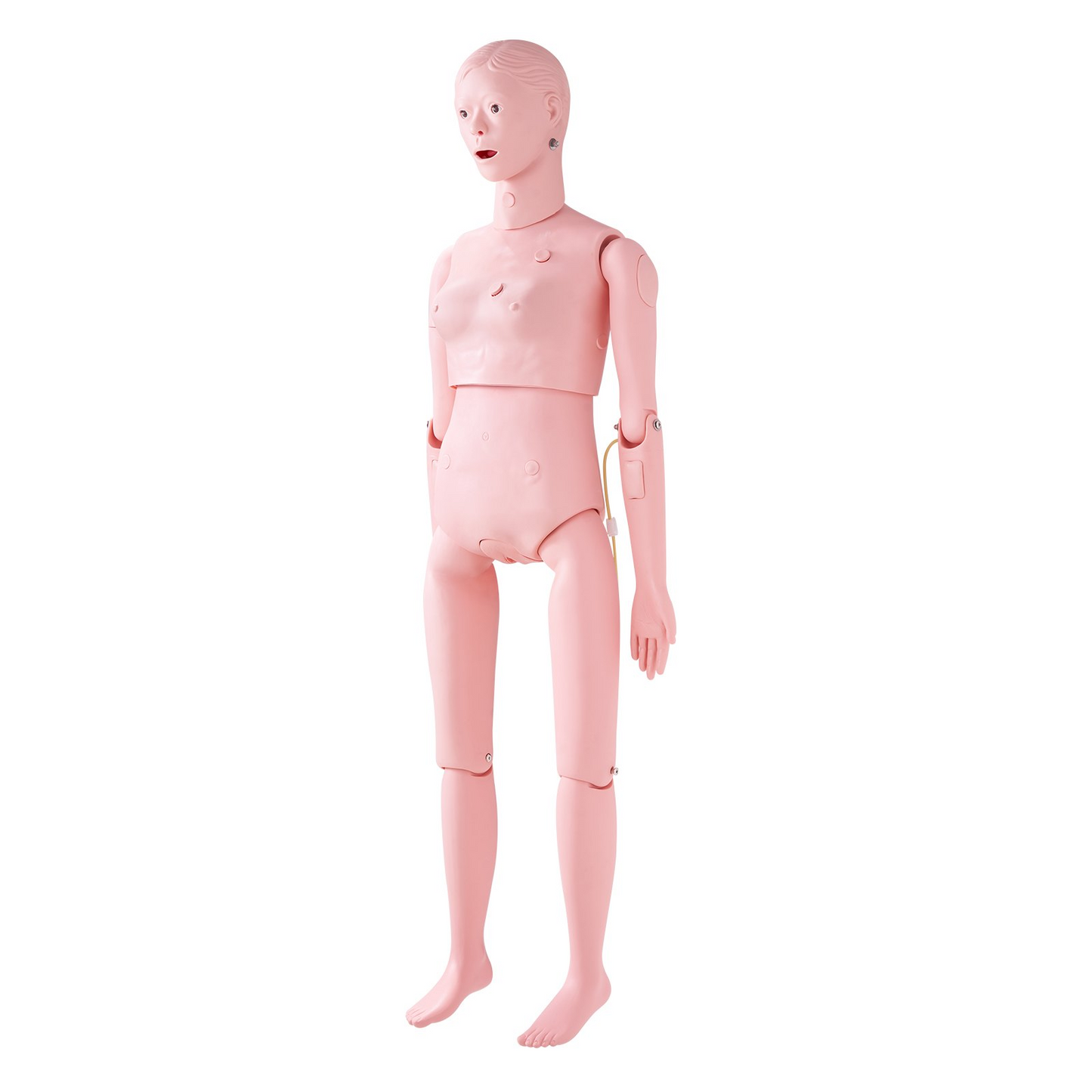 VEVOR Nursing Training Manikin, Female Life Size Demonstration Human Manikin for Nursing Training, Multifunctional Education Teaching Model Supplies, PVC Anatomical Mannequin Body Care Simulator Model